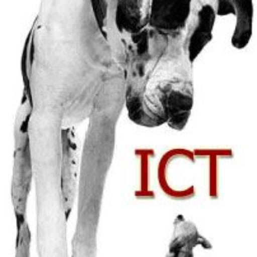 BigDog ICT logo